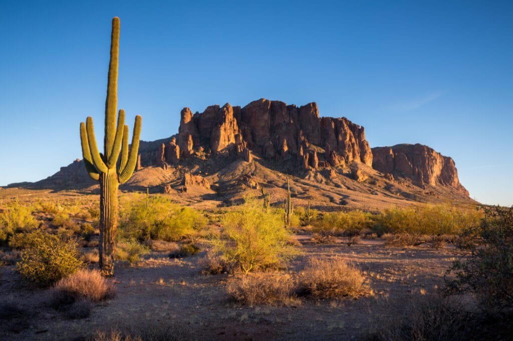 Arizona Desert