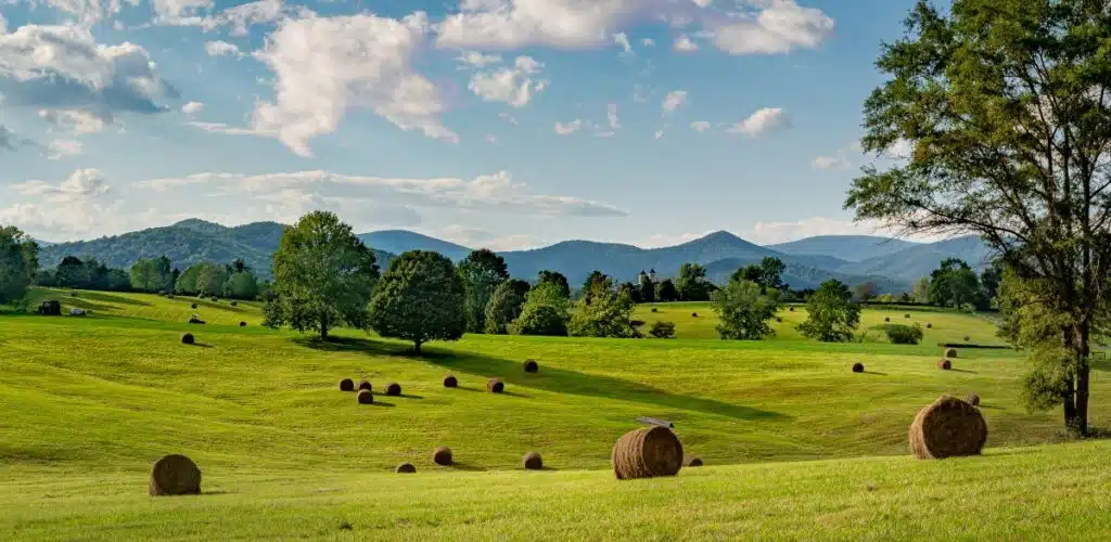 Rural farm land, green and blue sky