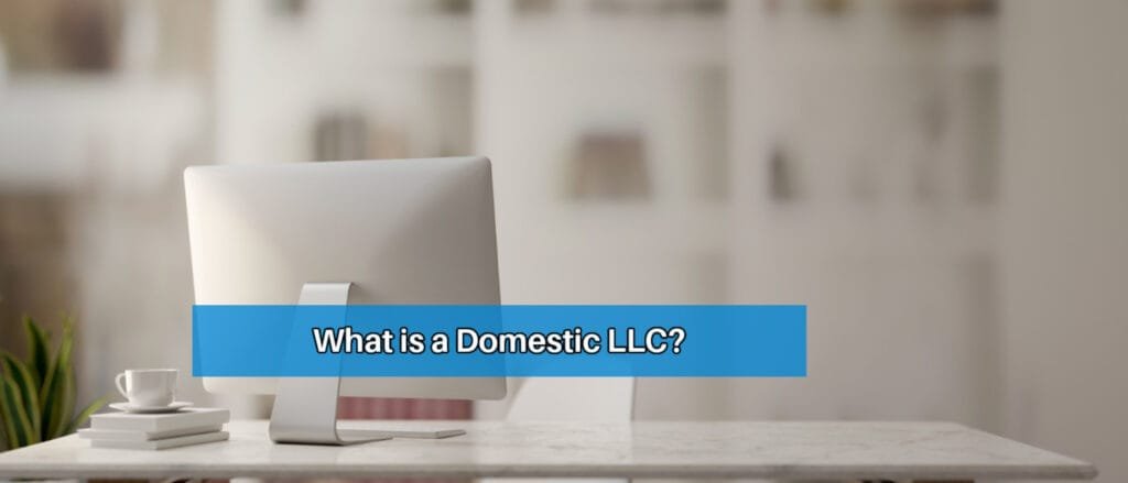 What is a Domestic LLC